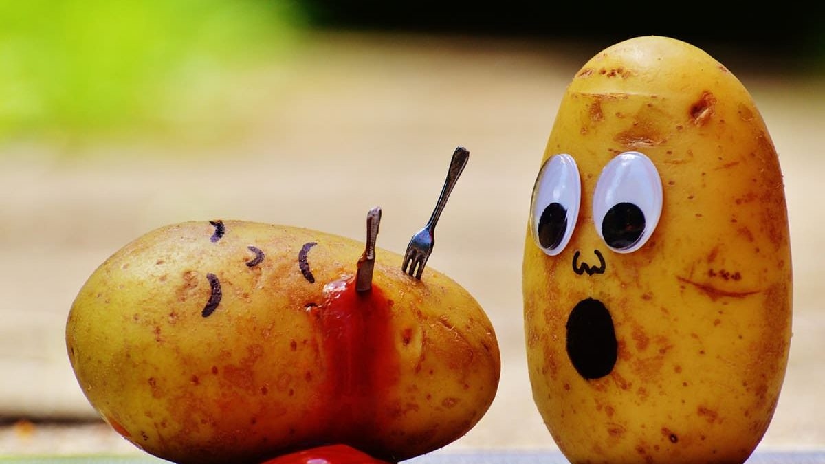 Best Recipe For Cheesy Potatoes