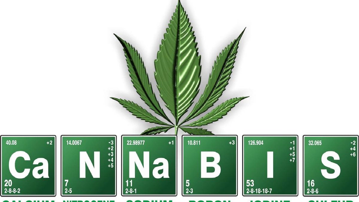 How To Treat PTSD With Cannabis?