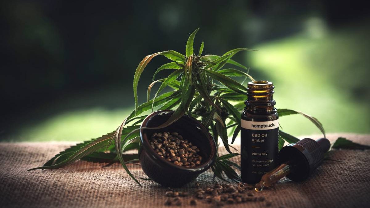 5 Simple Things You Need to Know About CBD Oils in 2020