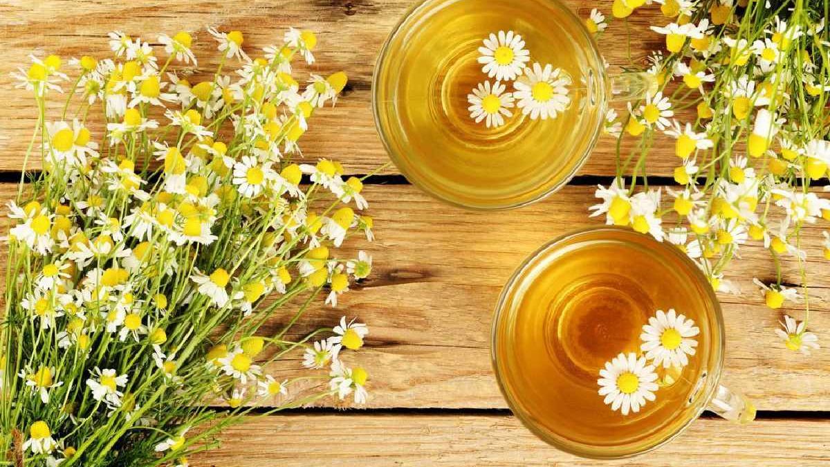 Skincare Benefits of Chamomile Tea