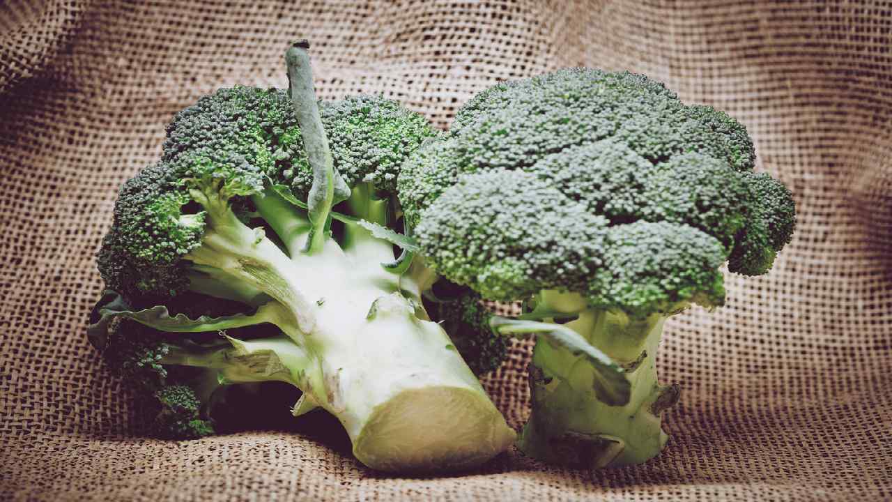 Broccoli - Cosmetics
