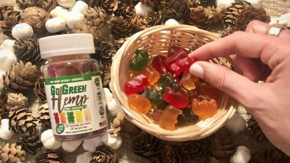 CBD Gummies 101 – What Are They? Pros and Cons