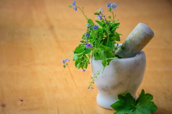 Ultimate Guide To Herbal Supplements