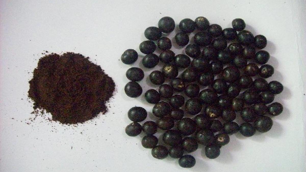 Why Acai Berry Powder Is the Best Way of Ingesting the Fruit?