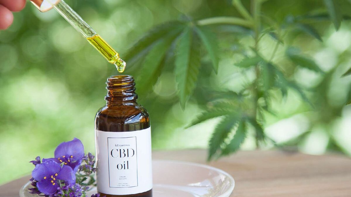 How Can CBD Help With Your Diet?