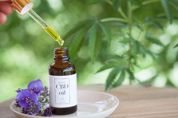 How Can CBD Help With Your Diet