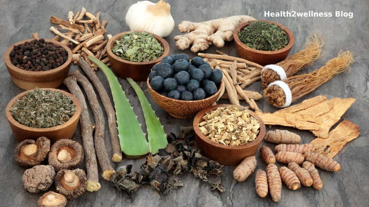 Top 10 Benefits of Using Herbal Medicines