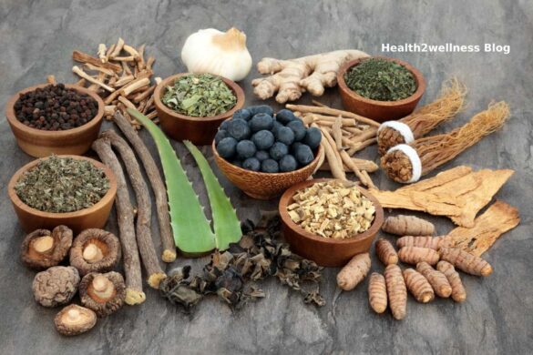 Top 10 Benefits of Using Herbal Medicines
