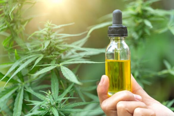 Why CBD is Your Springboard into Natural Health and Wellness