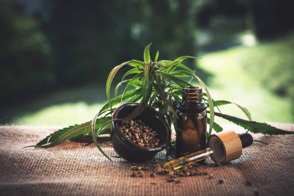 Determining the Purity of Your CBD Oil