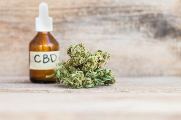 Where to Buy High-Quality CBD Oil