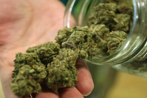 5 Things to Look for When Buying CBD Hemp Flower