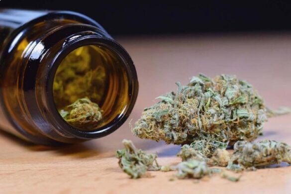 Is Hemp Flower Better Than CBD Oil