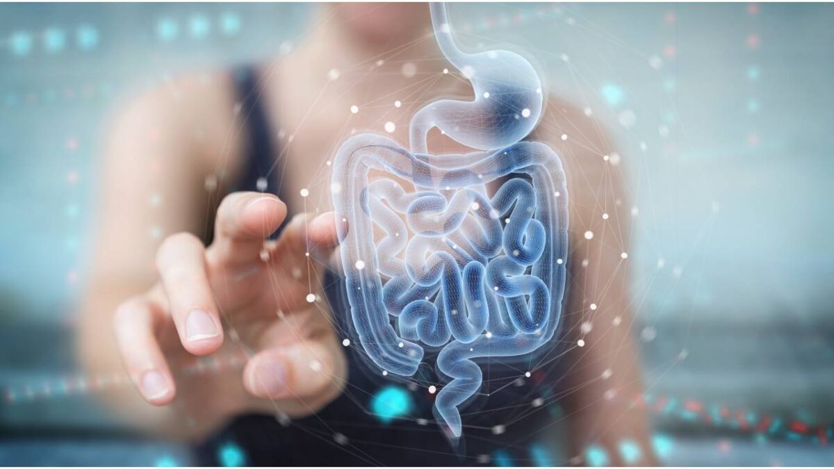How To Know If Your Gut Biome Is Healthy Health2Wellness