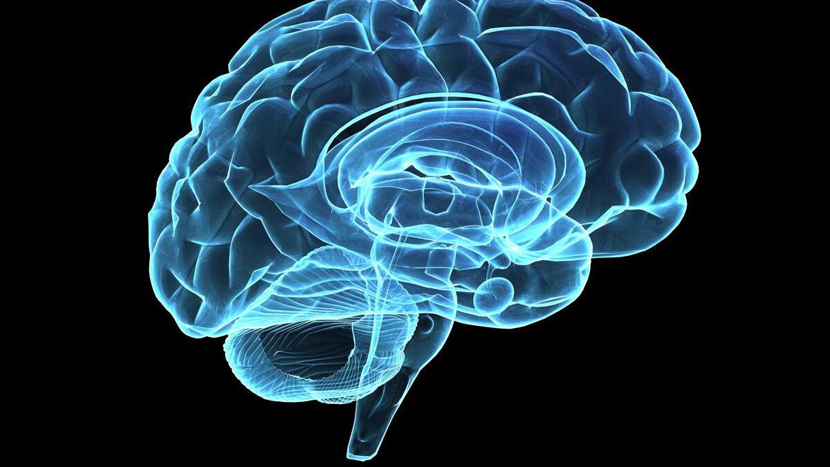 10 Most Common Brain Diseases