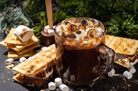 salted dark chocolate and toasted marshmallow hot chocolate