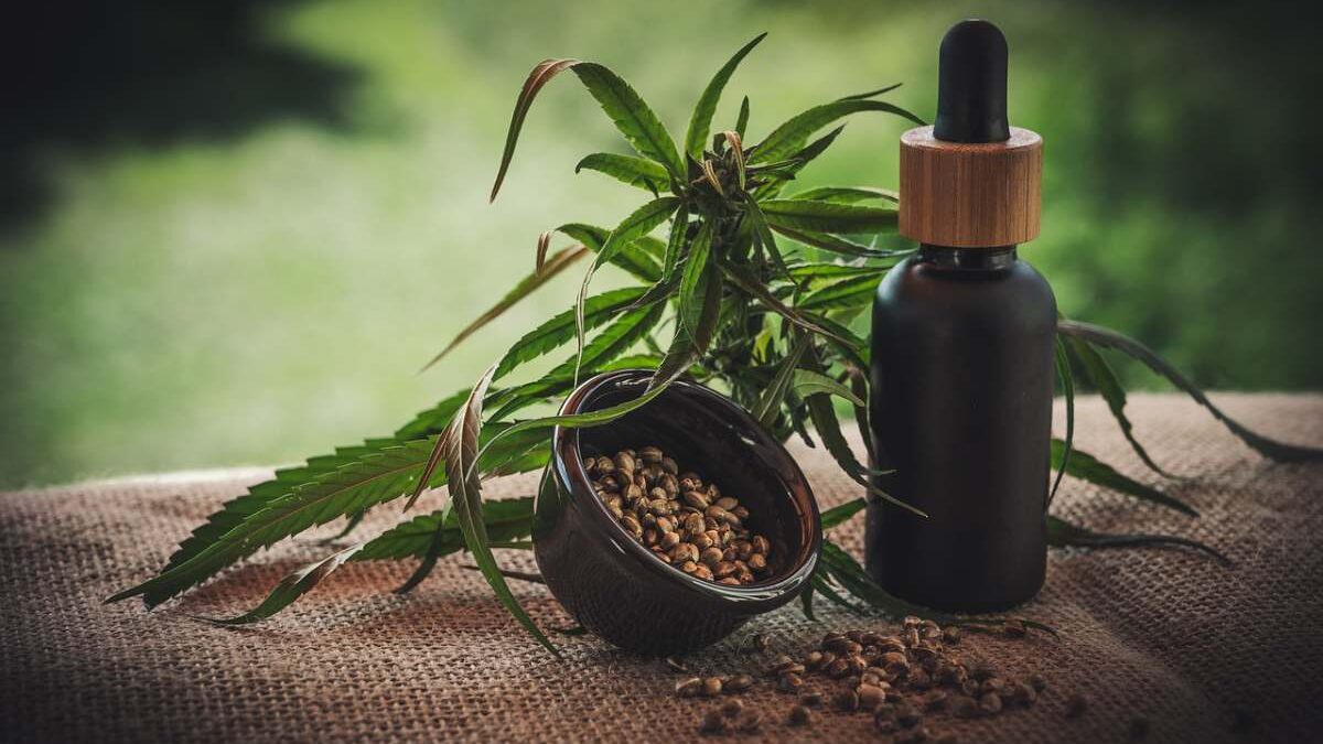6 Shopping Tips And Tricks For Finding High-Quality CBD Oil