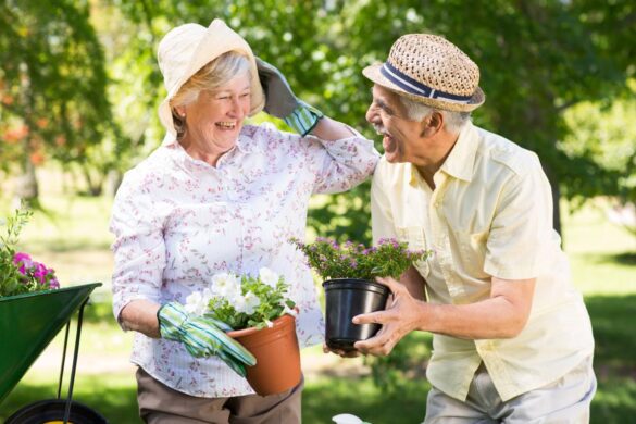 4 new activities and hobbies for the over 80s to try