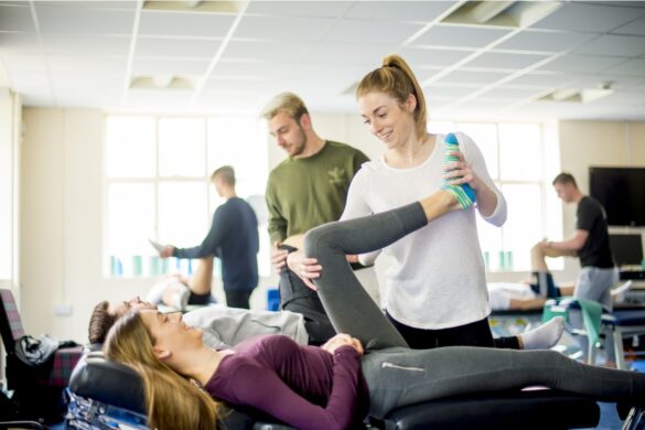 what career opportunities could chiropractic school in new york offer you