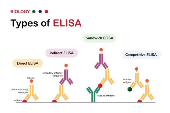 types and applications of elisa