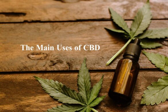 the main uses of cbd